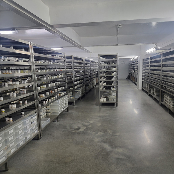 Guangzhou plant fragrance Co., Ltd สายการผลิตของผู้ผลิต