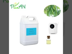 ยูคาลิปตัส ดีฟิวเซอร์ อารมณ์หอม สะอาดธรรมชาติ ฝรั่งเศส น้ํามันต้นชา