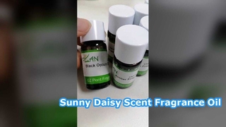 น้ำมันหอมเดซี่ กลิ่นบ้านที่ติดทนนาน